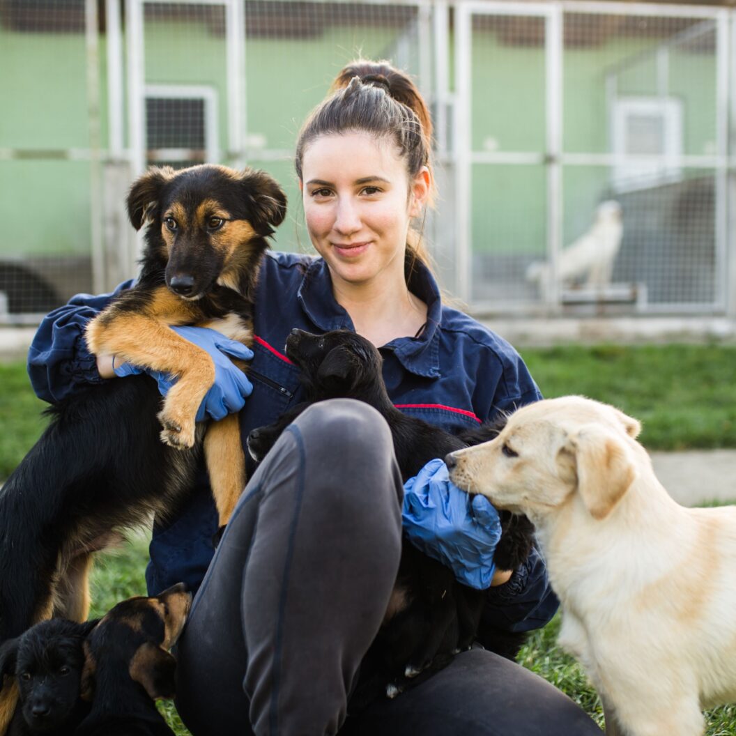 Lehre machen Kärnten